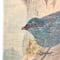 Hello Honey® Vintage Reproduction Birds Bamboo Wall Scroll